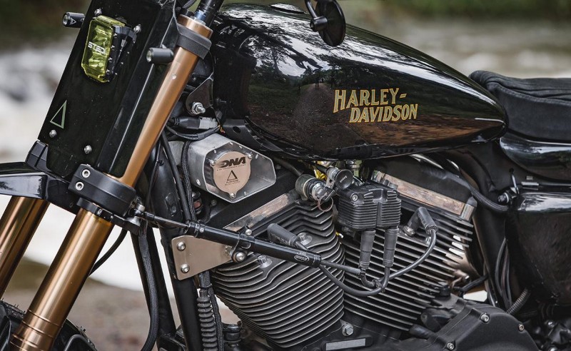 harley-sportster-dual-sport-5.jpg