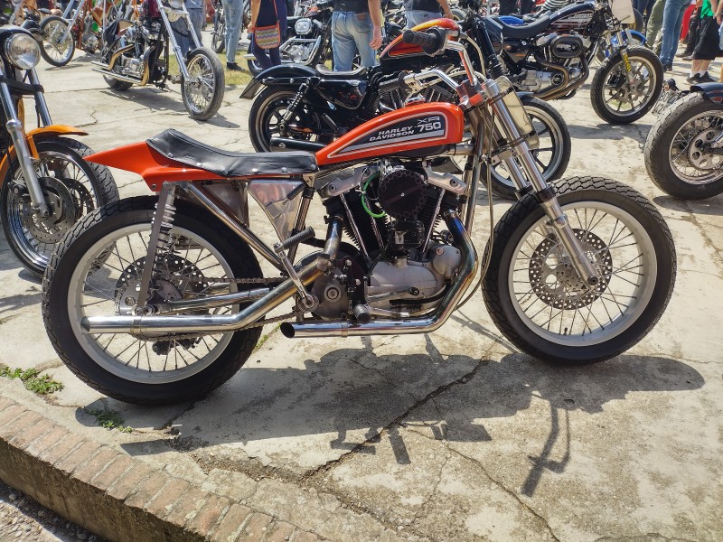 dirttracker sportster