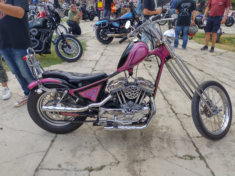 sportster chopper